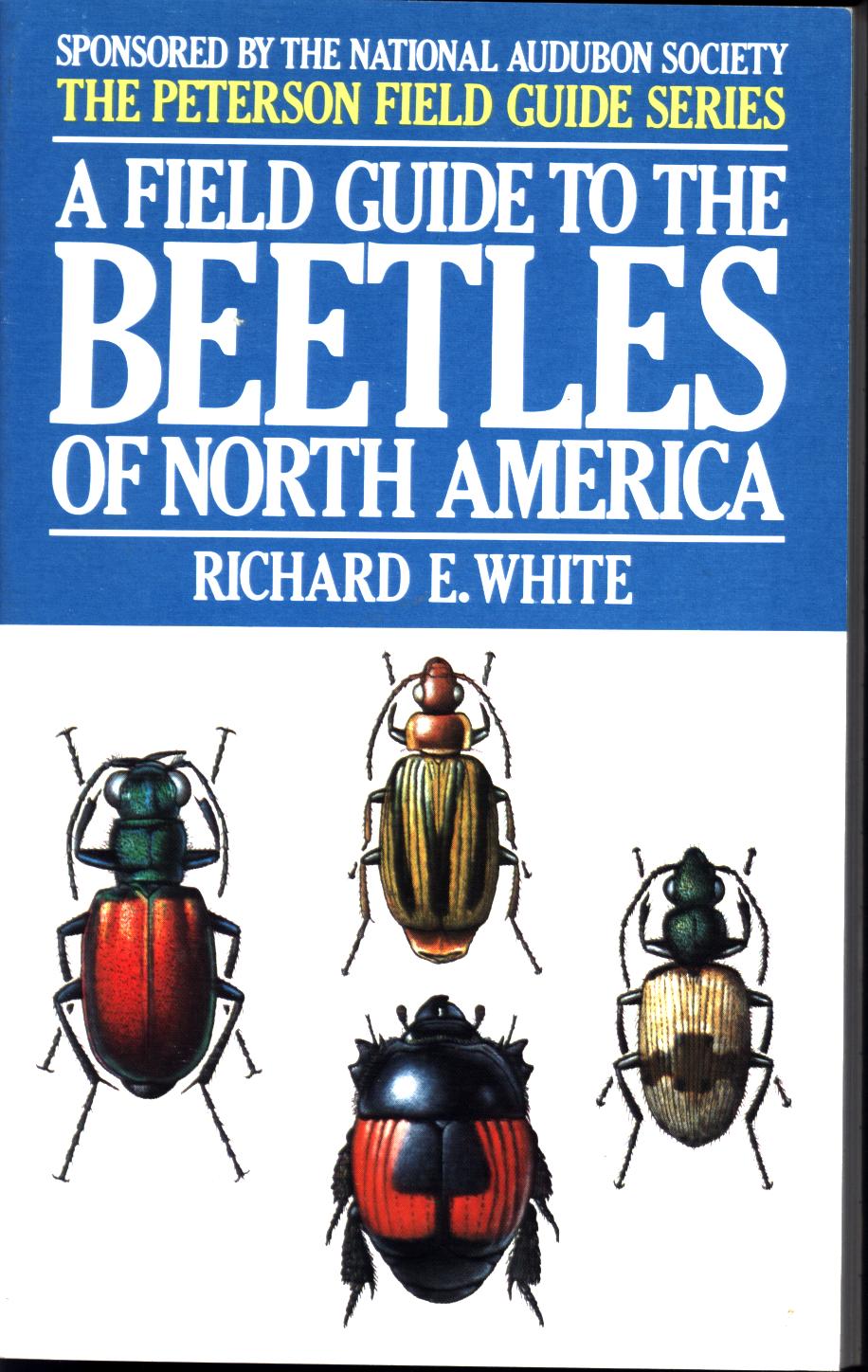 A FIELD GUIDE TO THE BEETLES OF NORTH AMERICA.